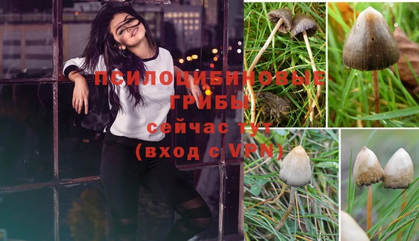 спиды Баксан