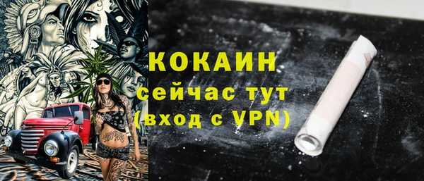 крисы Армянск