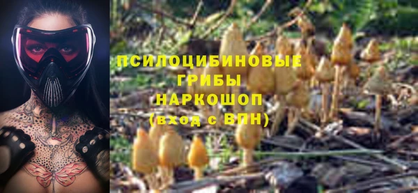 шишки Белоозёрский
