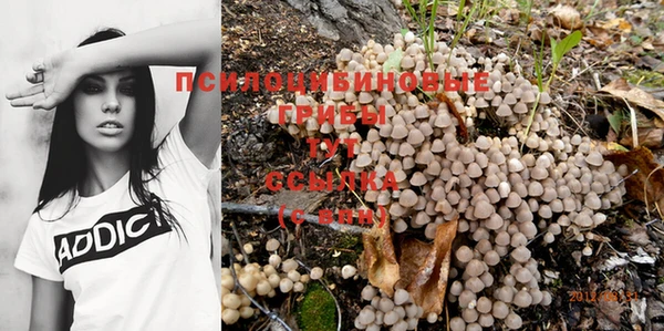 ешки Балахна
